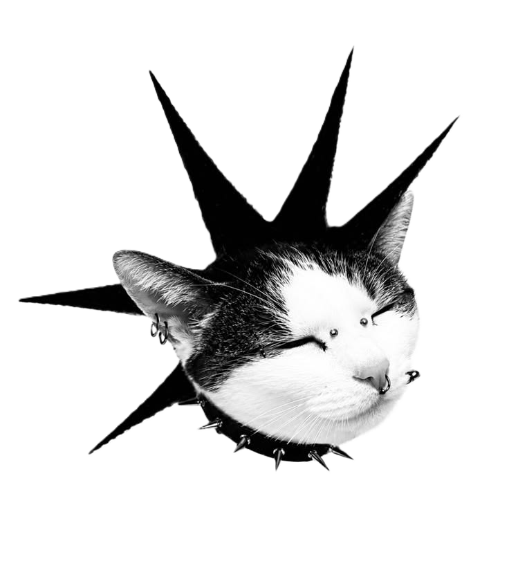 my icon